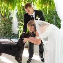 Cedar Fox wedding & event photo 5