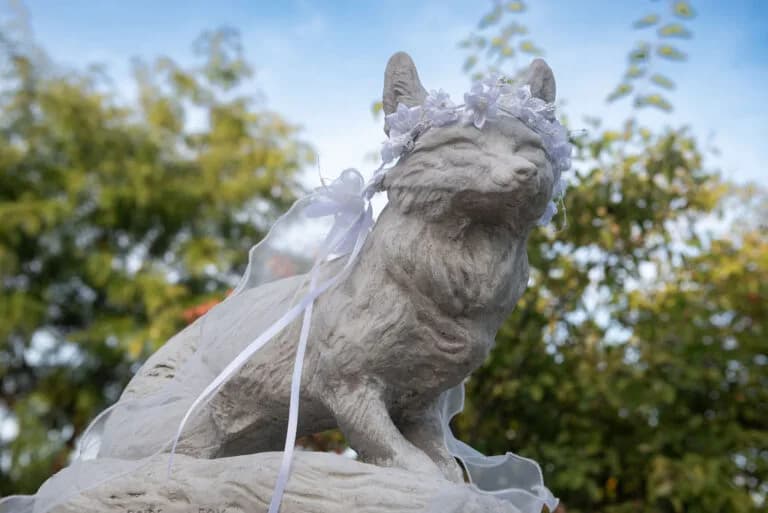Cedar Fox wedding & event photo 39